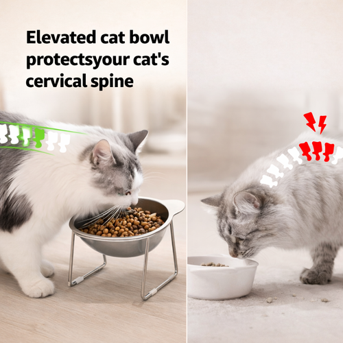 Elevated Steel Cat Bowl