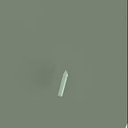 Electric Pet Grooming Kit