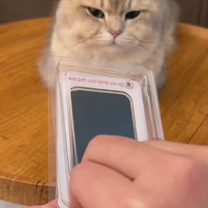 Pet Paw Print Ink Pad