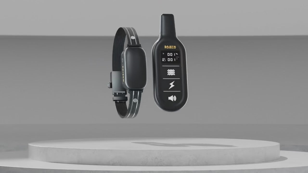 Electric Dog Training Collar Digital