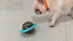 Interactive Dog Feeder Flying Disc